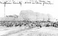 Turkey flock in Malheur County, Oregon