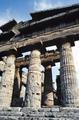 Temple of Hera ('Neptune')