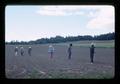 Agricultural laborers hand hoeing field, Oregon, 1976