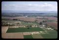 Aerial view of Fairplay School area, Corvallis, Oregon, 1966