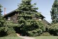 Vellutini House (Eureka, California)