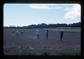 Agricultural laborers hand hoeing field, Oregon, 1976