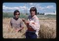 Researchers taking notes in field, Oregon State University, Corvallis, Oregon, June 1976