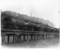 Trainload of Fir and Spruce logs