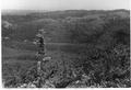 Looking north from Blodgett Peak with Dick's Ridge in the middle ground.  Shows ground burned over in the 1936 Big Creek fire. This photo was taken from the same location as Photo #1993-10, but a few years later.