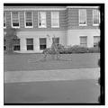 Tree damage in front of Commerce Building, October 20, 1961