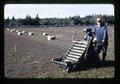 Donald Fraser with cranberry harvester, Coos County, Oregon, circa 1972