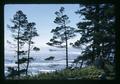 Pacific Ocean from the Elliker cabin at Otter Crest, Oregon, circa 1973