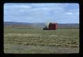 Chopping hay in field, Burns, Oregon, 1975