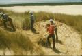 Removing dune grass, probably Youth/Adult Conservation Corps group(2)