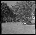 Attendee campground by Parker Stadium, American Institute of Biological Sciences national convention, August, 1962