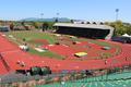 Hayward Field, 2012