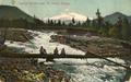 Fishing stream near Mt. Hood, Oregon