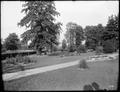 Grounds of Glafke Home, Portland. Fountain and flower beds along pathway. Trees in background.