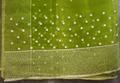 Sari of bright green iridescent silk organdy with trim of white embroidery
