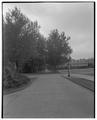 View looking west from in front of Commerce Building (Bexell Hall), July 1943