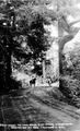 Two men on horseback on dirt road with trees