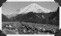 Mt St Helens