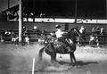 Horsemanship, 1949 Polk County Fair