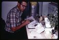 Dr. William Stephen with leaf cutter bees, Oregon State University, Corvallis, Oregon, 1968