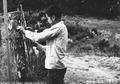 4-H boys building fence