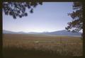 Alfalfa at Tulano Farms, Upper Klamath River, Oregon, 1965