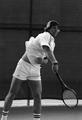 1981 men's tennis
