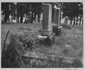 Cemetery Pioneer [28] (recto)