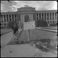 Students extinguish flames at a tuition increase protest, Memorial Union quad