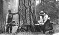 Felling a tree using an electric power saw