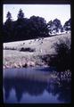 Farm pond and cattle in pasture, Oregon 1958