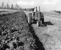 Tractor plowing fields
