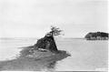 Scenery Mouth of Schooner Creek. Headland and buildings in background. Persons on rock with tree, boats in water.