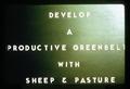 Develop a Productive Greenbelt with Sheep & Pasture, circa 1971