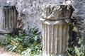 Corinthian Column and Acanthus leaves