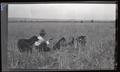 Men with bird chicks in a field