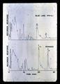 Bean flavor chemistry analysis chart for Blue Lake and Romano varieties, circa 1965