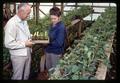 Superintendent Richard Bullock and technician with strawberries, North Willamette Experiment Station, Aurora, Oregon, circa 1965