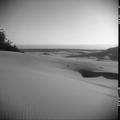 Dunes landscape(3)