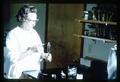 June Hunter sectioning fish livers for hepatoma research, circa 1965