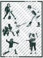 1996 Oregon State University Women's Softball Media Guide