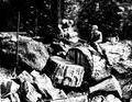 Men with saw cutting end of log