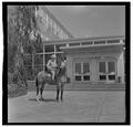 E. L. "Dad" Potter, Animal Husbandry professor, posing with a horse, May 1964
