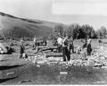 Chopping wood at Ruby CCC camp, Beaverhead National Forest, Montana