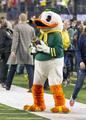 Duck mascot, 2015