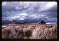 Fort Rock, Lake County, Oregon, circa 1965