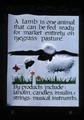 Lamb and lamb by products presentation slide, 1976