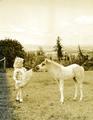 Colt pulling Cheryl's skirt, Crystal Springs Ranch (A.W. Smither), Salem, Oregon
