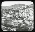 Safed, Palestine