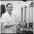 Dr. Te May Ching in Seed Lab, Summer 1961
